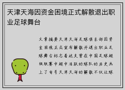 天津天海因资金困境正式解散退出职业足球舞台