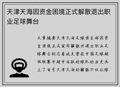 天津天海因资金困境正式解散退出职业足球舞台