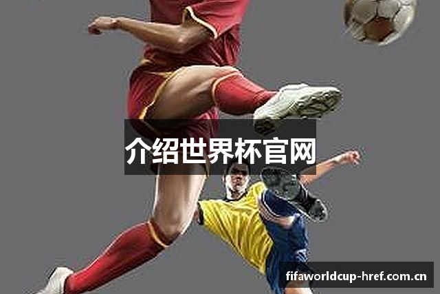 介绍世界杯官网